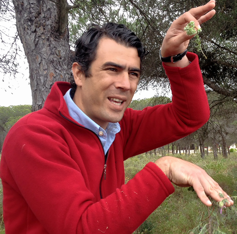 Ricardo Canas